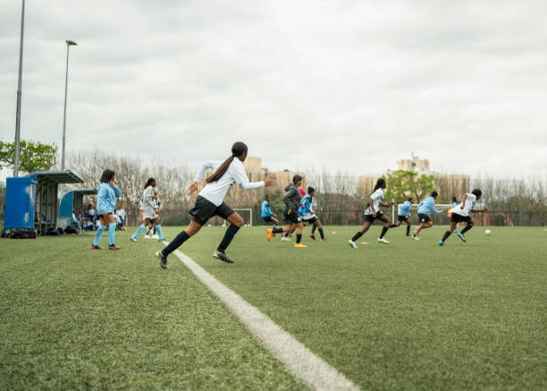 案例分析 案例分析