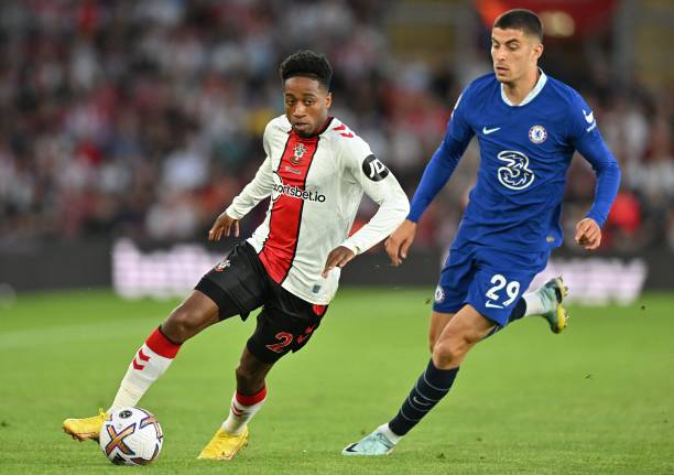 入了新的活 入了新的活