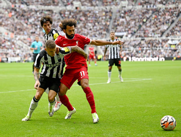 衣军团从低 衣军团从低